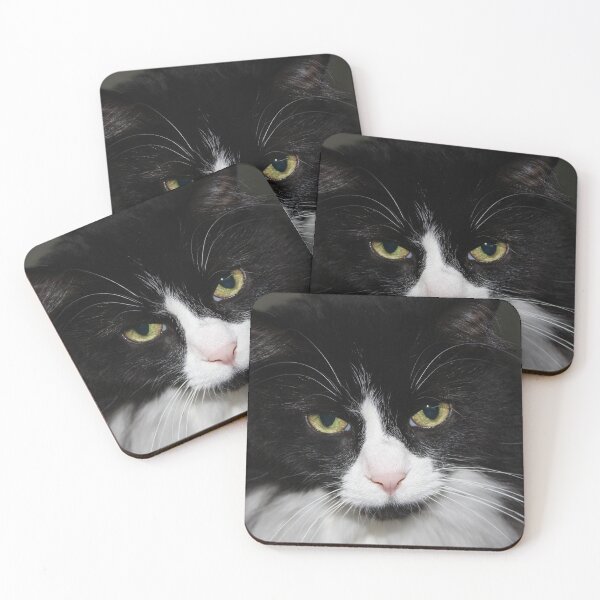 Item preview, Black and White Tuxedo Cat designed and sold by anitahiltz.