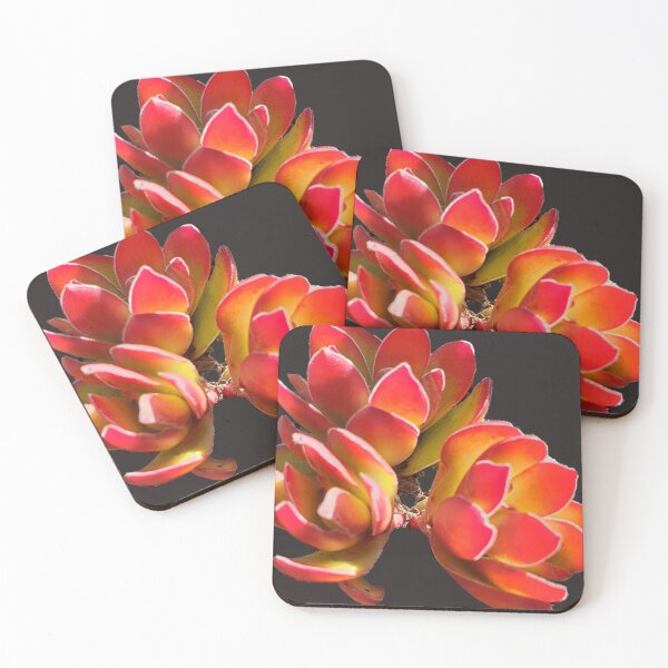 Item preview, Fiery delights designed and sold by HORTYBYNATURE.