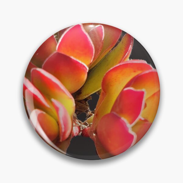 Item preview, Fiery delights designed and sold by HORTYBYNATURE.
