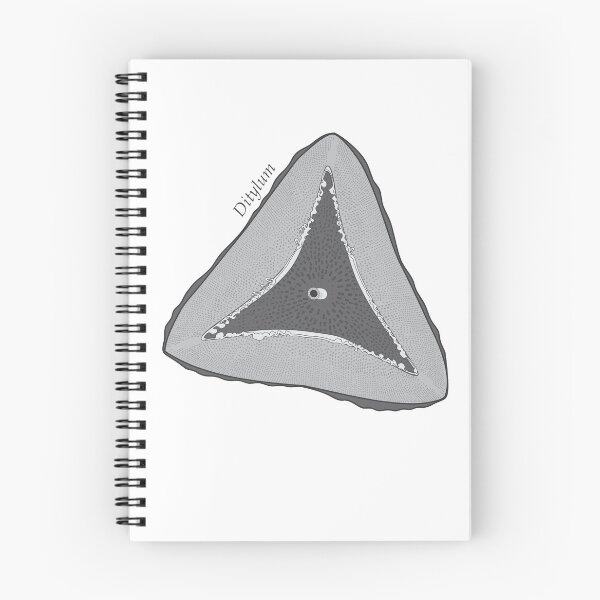 Item preview, Diatom - Ditylum (scientific) designed and sold by DiatomsATTACK.