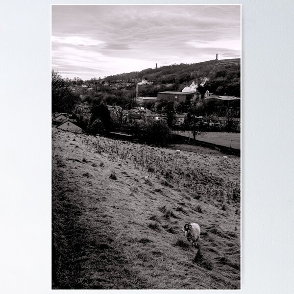 Item preview, Looking A View  designed and sold by Carl Gaynor.