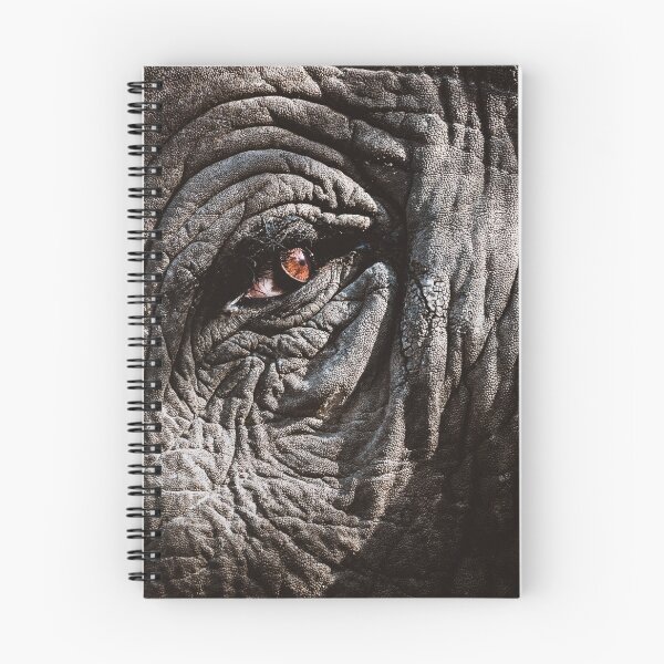 Item preview, Elephant Eye designed and sold by Olwen Evans.