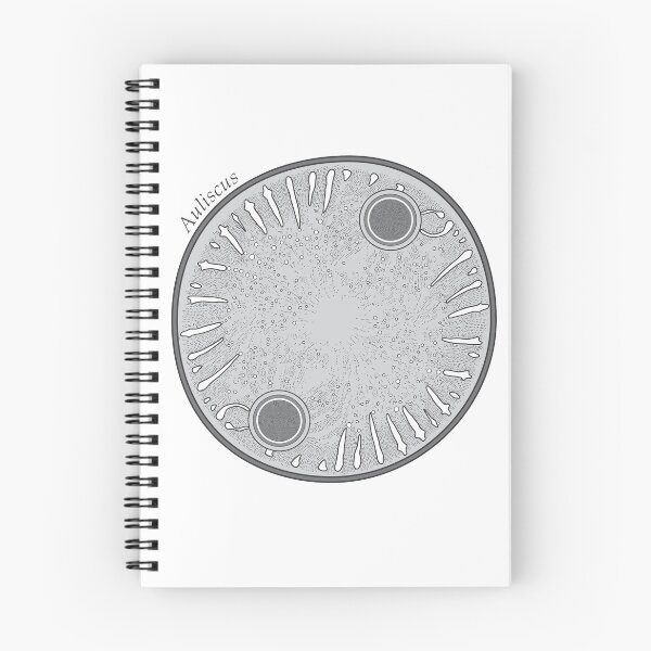 Item preview, Diatom - Auliscus (scientific) designed and sold by DiatomsATTACK.