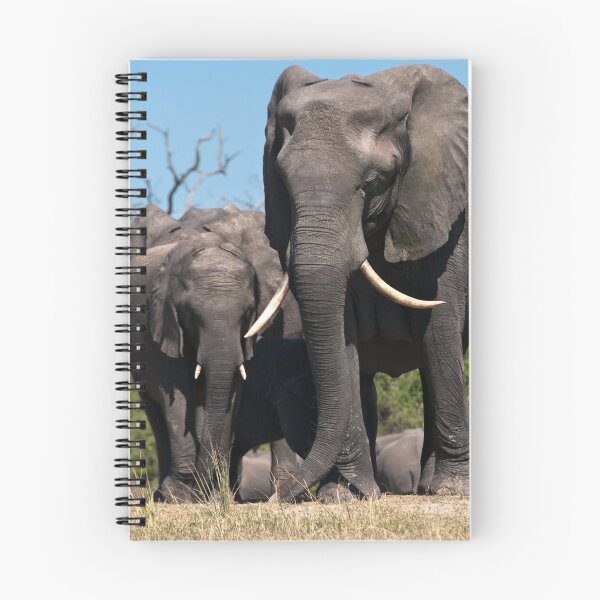 Item preview, Chobe Elephants designed and sold by Olwen Evans.