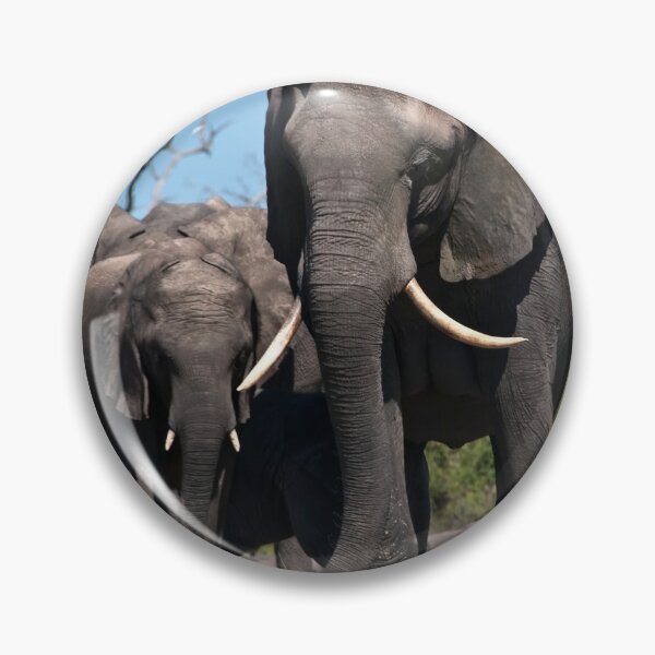 Item preview, Chobe Elephants designed and sold by Olwen Evans.
