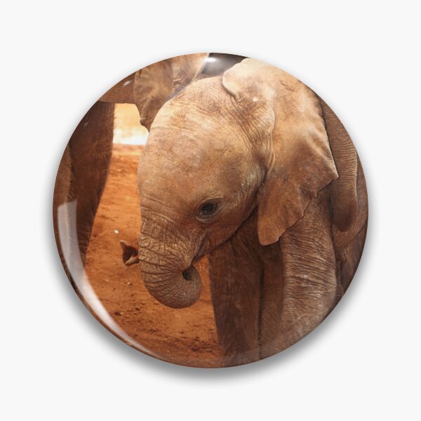 Item preview, Affectionate Playmates: Baby Elephants designed and sold by Carole-Anne.