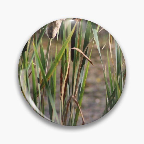 Item preview, Grasses on Buttertubs Marsh designed and sold by Bobtherandomcat.