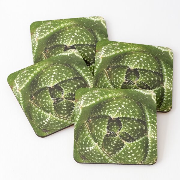Item preview, Hawothia Happiness designed and sold by HORTYBYNATURE.