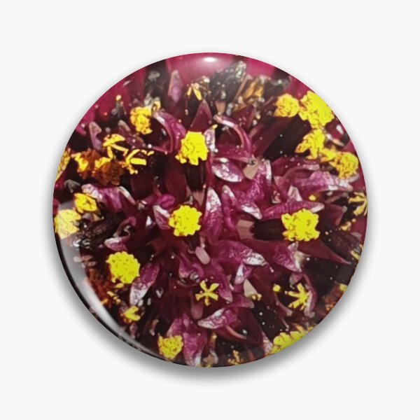 Item preview, Blooming Wonders #1 designed and sold by HORTYBYNATURE.