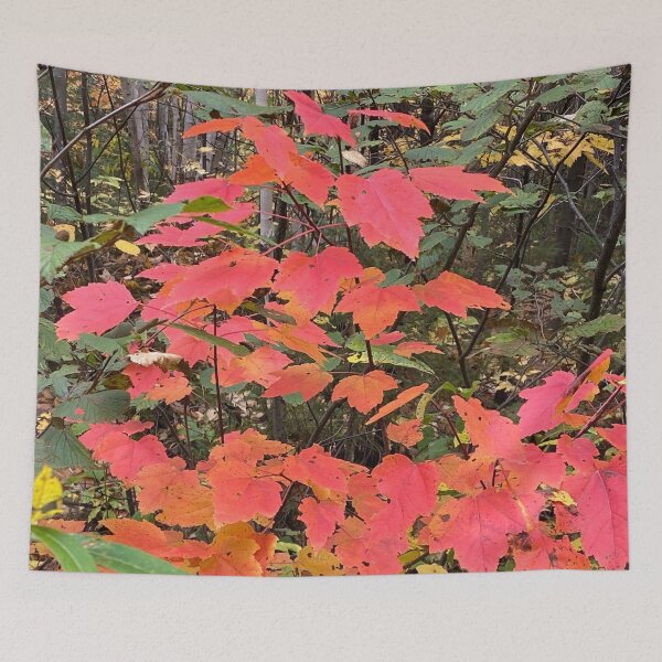 Item preview, Fall Leaves Close up designed and sold by Judydcreates.