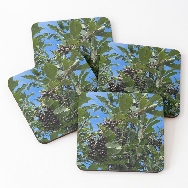 Item preview, BlackBerry Bush designed and sold by Judydcreates.