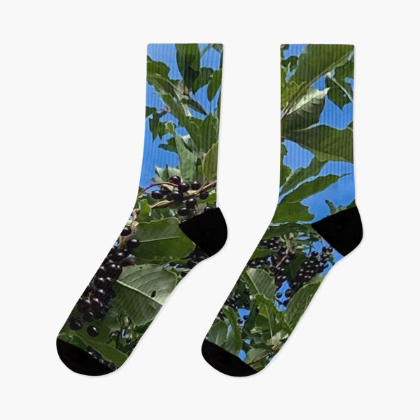 Item preview, BlackBerry Bush designed and sold by Judydcreates.
