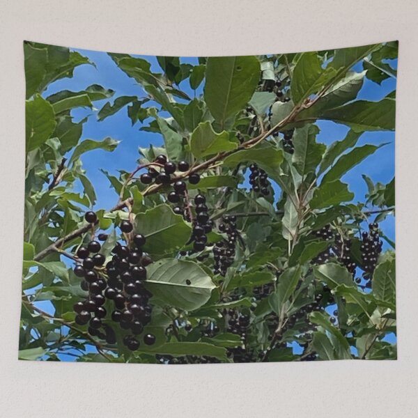Item preview, BlackBerry Bush designed and sold by Judydcreates.