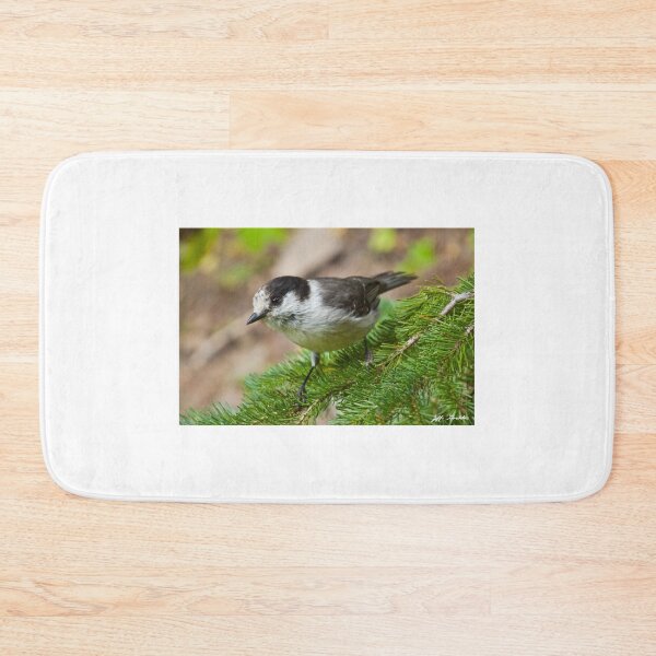Item preview, Gray Jay on Fir Tree designed and sold by Jeff Goulden Photography.