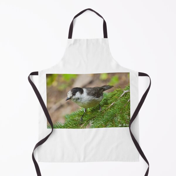 Item preview, Gray Jay on Fir Tree designed and sold by Jeff Goulden Photography.