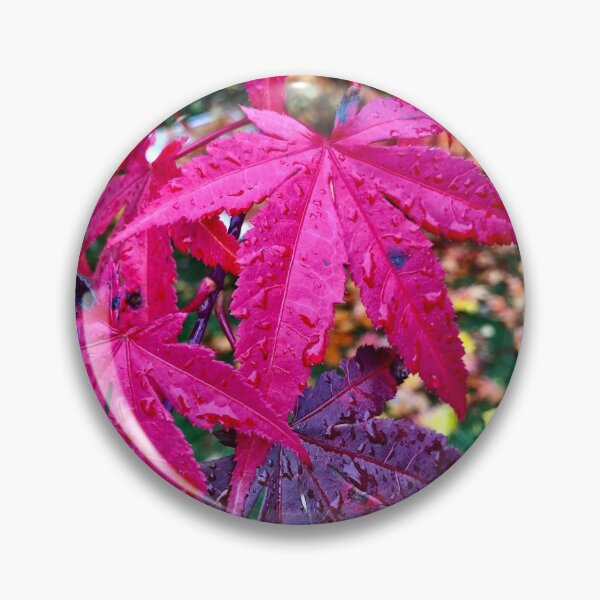 Item preview, Fall Colors designed and sold by GDGCreations.