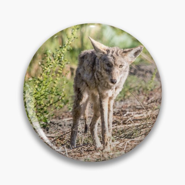 Item preview, Coyote  designed and sold by CarolM.