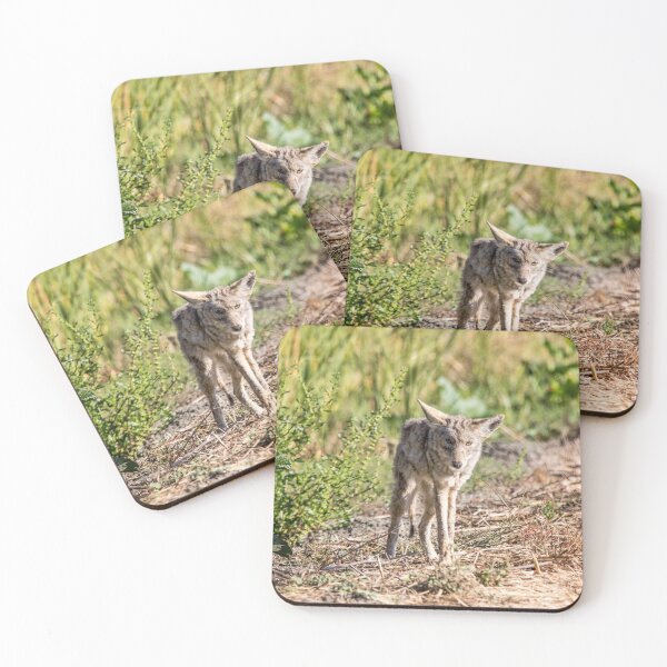 Item preview, Coyote  designed and sold by CarolM.