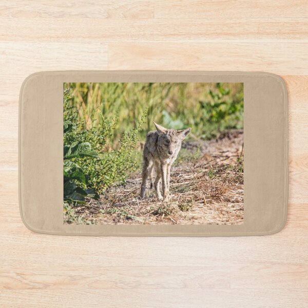 Item preview, Coyote  designed and sold by CarolM.