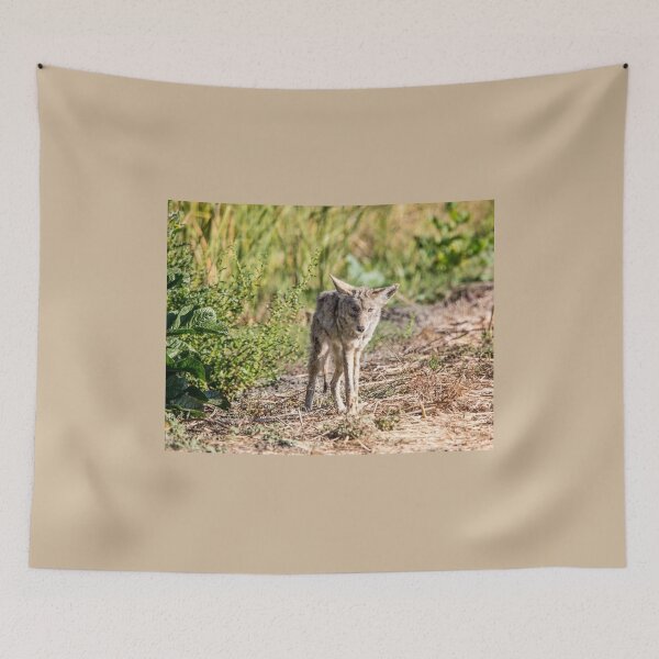 Item preview, Coyote  designed and sold by CarolM.