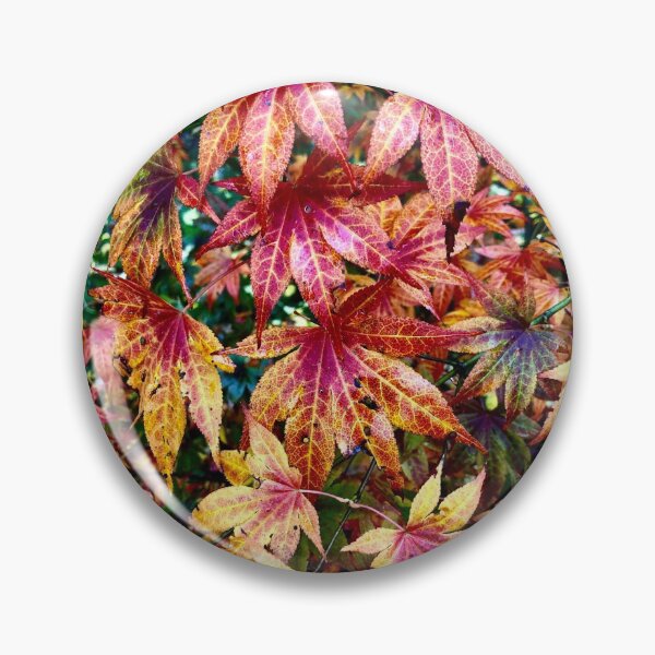 Item preview, Fall Colors 2 designed and sold by GDGCreations.