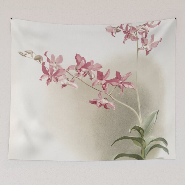 Item preview, Reichenbachia: Orchids Illustrated and Described designed and sold by EsotericBotanic.