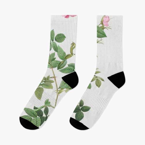 Item preview, Les Roses by Pierre-Joseph Redouté designed and sold by EsotericBotanic.
