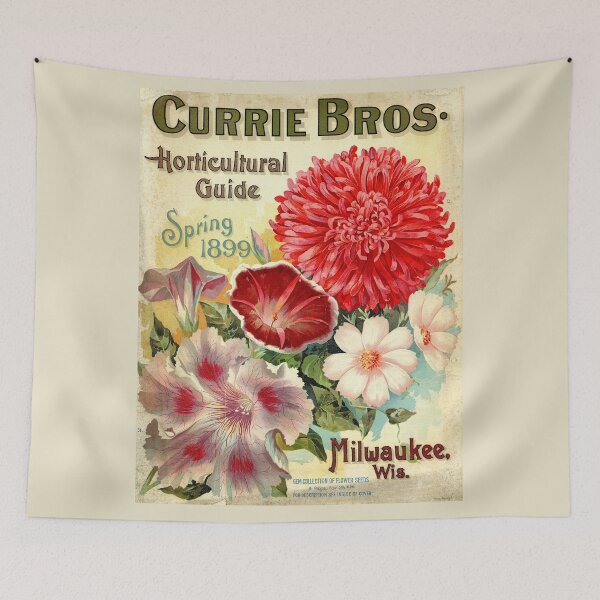 Item preview, Chrysanthemum - Currie 1899 designed and sold by killies.