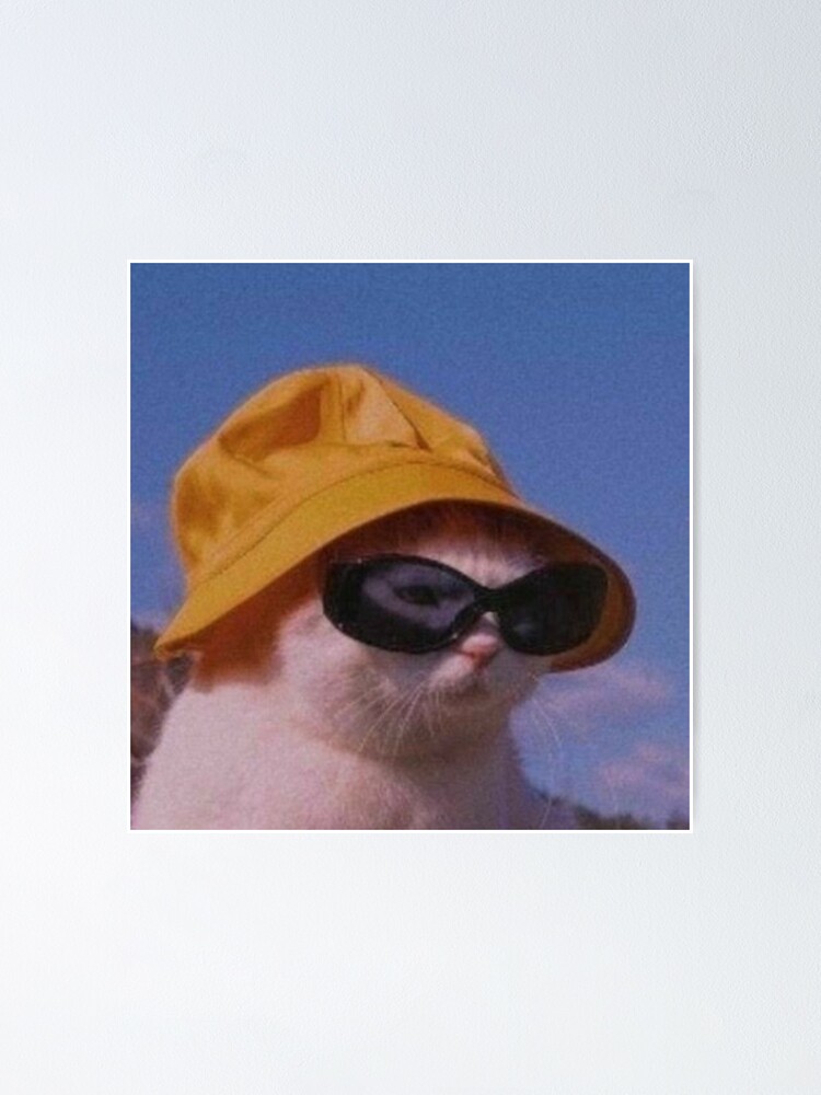 𝙰𝙴𝚂𝚃𝙷𝙴𝚃𝙸𝙲 𝙸𝙲𝙾𝙽 - AESTHETIC CATS