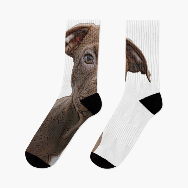 Item preview, Young Pitbull Puppy designed and sold by Marlene Watson-Hall.