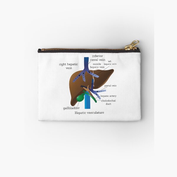 Item preview, hepatic vasculature |  medical poster | liver medical poster  designed and sold by KARTICK DUTTA.