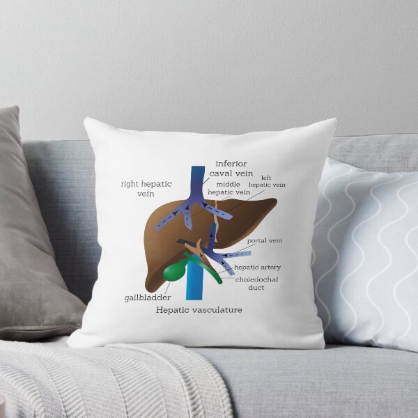 Item preview, hepatic vasculature |  medical poster | liver medical poster  designed and sold by KARTICK DUTTA.