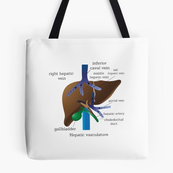 Item preview, hepatic vasculature |  medical poster | liver medical poster  designed and sold by KARTICK DUTTA.