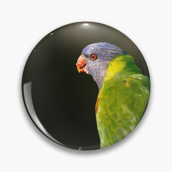 Item preview, Rainbow Lorikeet designed and sold by SusanAdey.