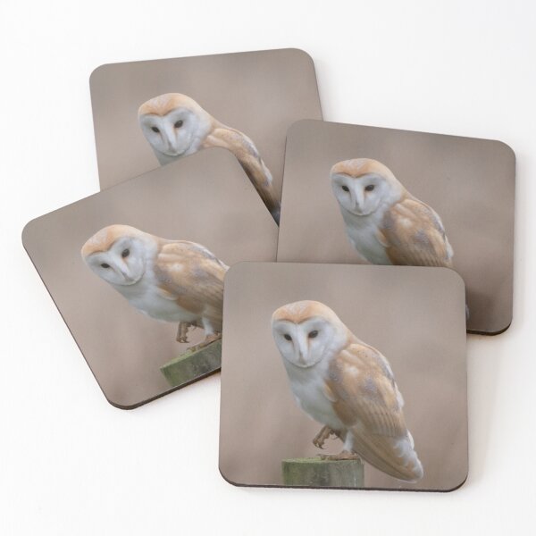 Item preview, barn owl designed and sold by tammy mellor.