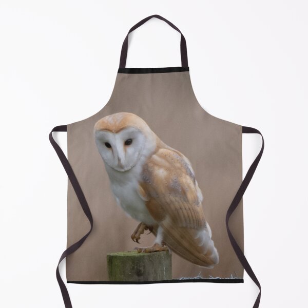 Item preview, barn owl designed and sold by tammy mellor.
