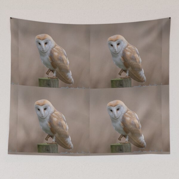 Item preview, barn owl designed and sold by tammy mellor.