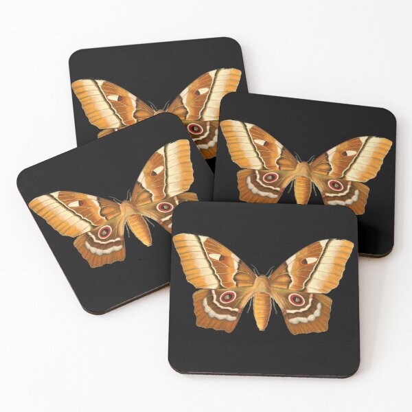 Item preview, Pseudimbrasia deyrollei (Saturniidae) designed and sold by spikemet.