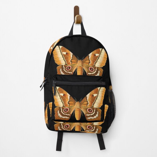 Item preview, Pseudimbrasia deyrollei (Saturniidae) designed and sold by spikemet.