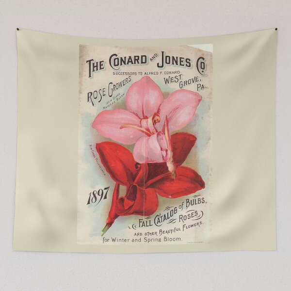 Item preview, Canna - Conard 1897 designed and sold by killies.