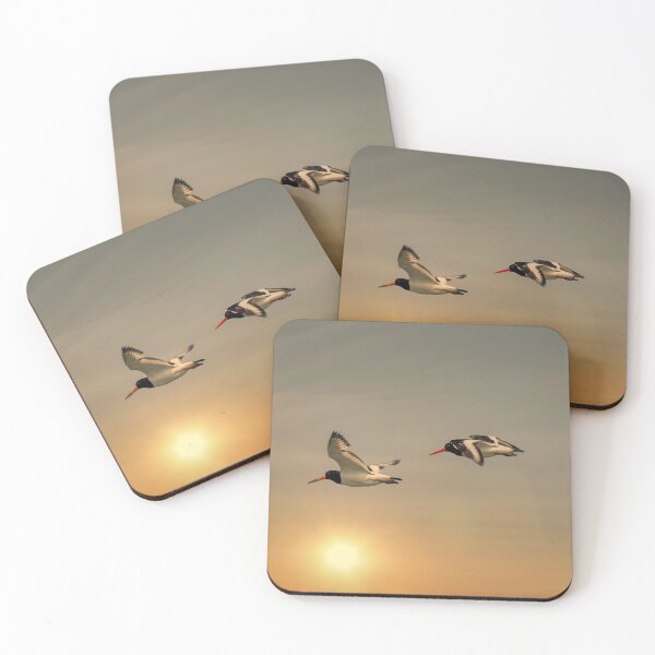 Item preview, Oystercatchers at Sunset designed and sold by Steve H Clark.