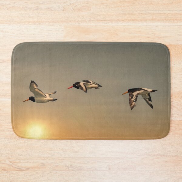 Item preview, Oystercatchers at Sunset designed and sold by Steve H Clark.