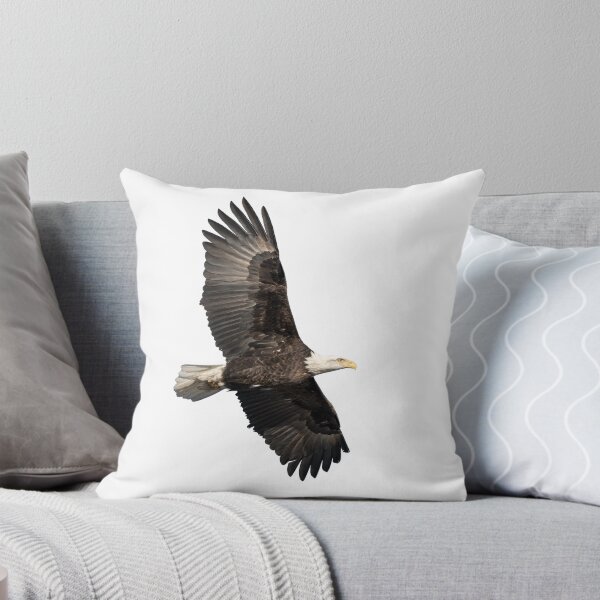 Item preview, Isolated American Bald Eagle 2016-4 designed and sold by Thomasyoung.