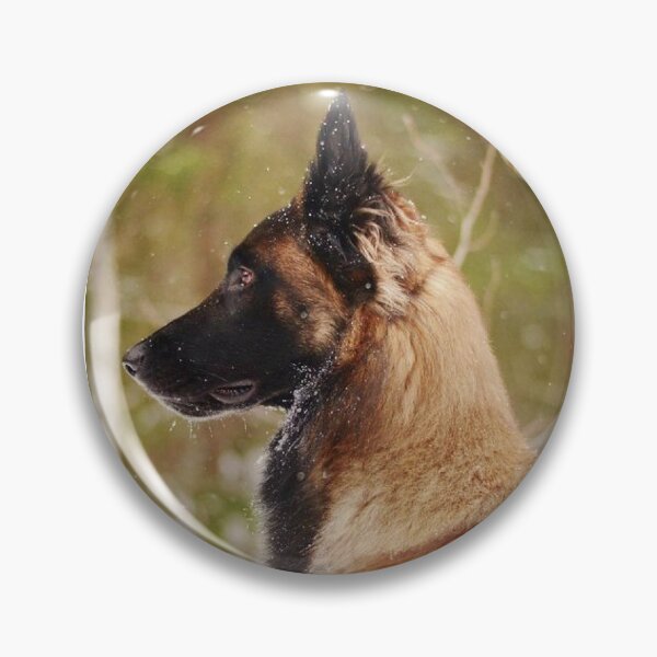 Item preview, belgian shepherd malinois face designed and sold by mikoala50.