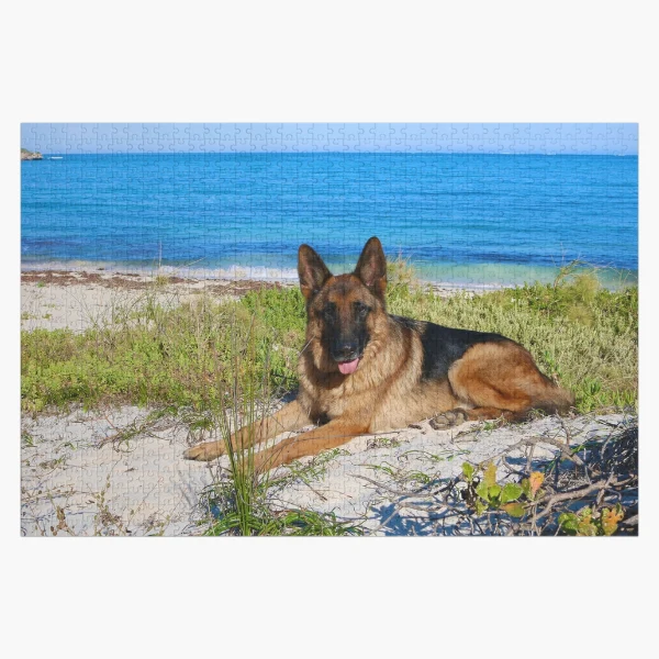 German Shepherd Resting  Jigsaw Puzzle for Sale by Nicola Morgan