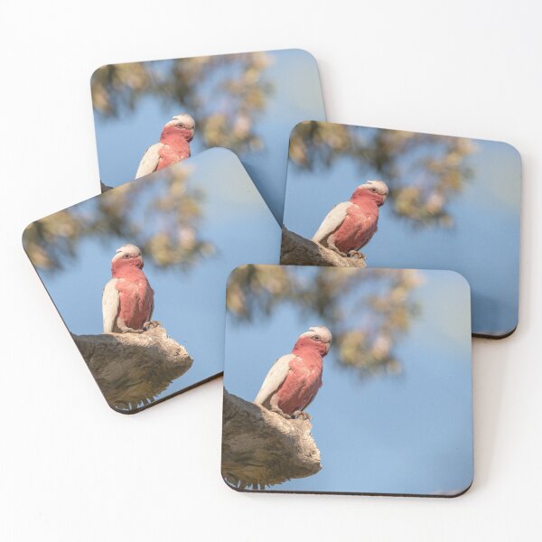 Artikelvorschau, Galah entworfen und verkauft von SusanAdey.