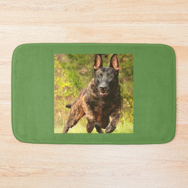 Item preview, strong belgian shepherd malinois dog designed and sold by mikoala50.