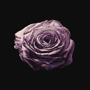 Artwork thumbnail, Purple and Lilac Open Floral Country Farm Rose in Black by artbydelfineart