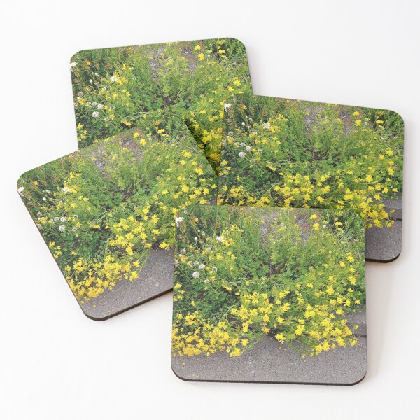 Item preview, Yellow Monkey Flowers from Washington designed and sold by TJHstudio.