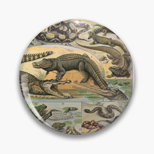 Item preview, Reptile Illustration - Larousse designed and sold by SFTStudio.